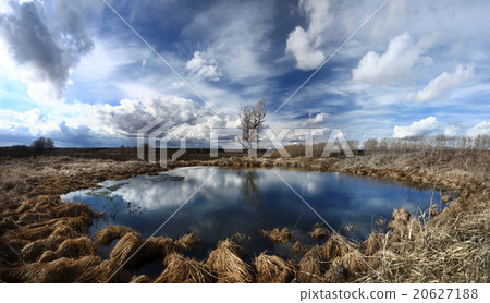 autumn landscape lake shore autumn landscape lake shore 20627188