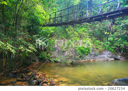 Asia Thailand jungle landscape 20627234