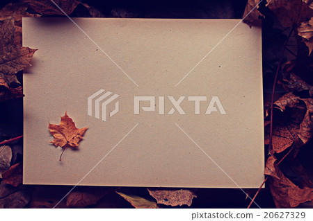 paper letter fallen leaves concept paper letter fallen leaves concept 20627329