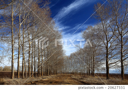 autumn landscape in nature autumn landscape in nature 20627331
