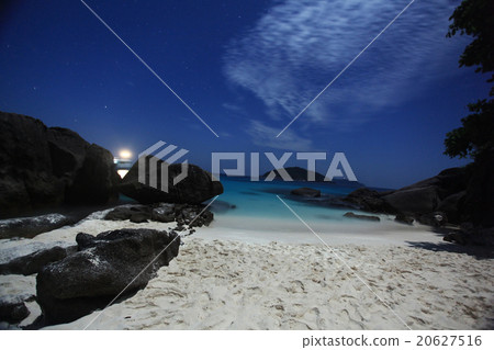 night landscape palm bay island 20627516