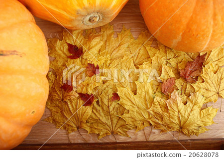 Still autumn yellow leaves pumpkin harvest concept 20628078