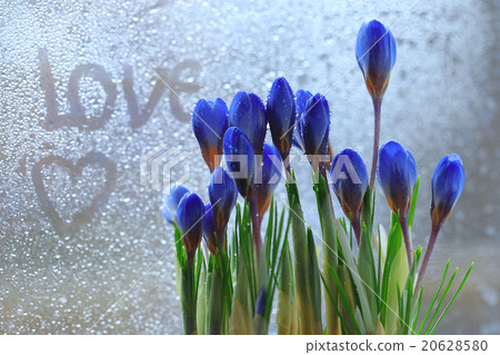 concept of love, flowers, glass inscription concept of love, flowers, glass inscription 20628580