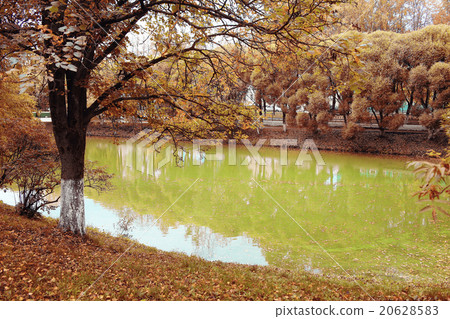 concept autumn in city concept autumn in city 20628583