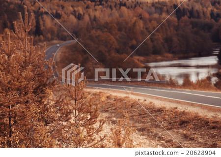 Autumn road landscape Autumn road landscape 20628904