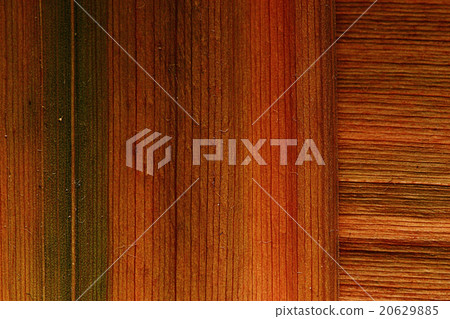 texture plant fiber leaf to the light texture plant fiber leaf to the light 20629885
