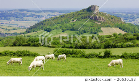 La Roche de Solutre, Burgundy, France 20630188