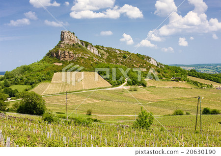 La Roche de Solutre with vineyards,Burgundy,France La Roche de Solutre with vineyards,Burgundy,France 20630190