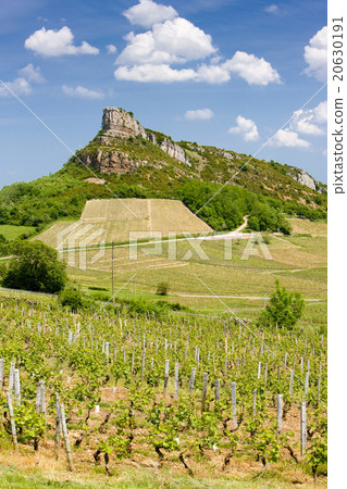 La Roche de Solutre with vineyards,Burgundy,France La Roche de Solutre with vineyards,Burgundy,France 20630191