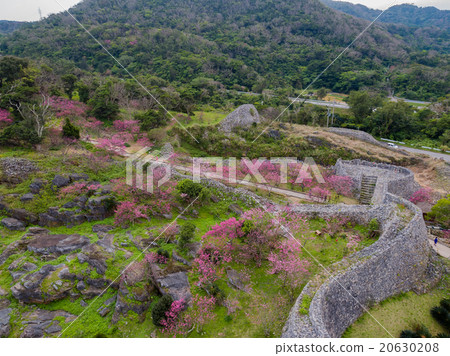 Okinawa aerial photograph world heritage Naijin Castle Ruins Okinawa aerial photograph world heritage Naijin Castle Ruins 20630208