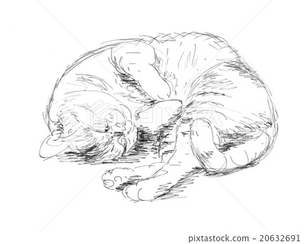 Cat catch illustration 20632691