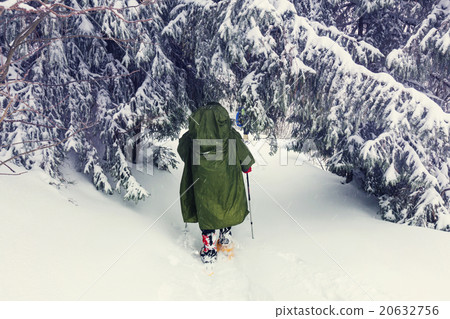 Winter hike Winter hike 20632756