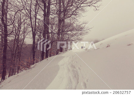 Winter hike 20632757