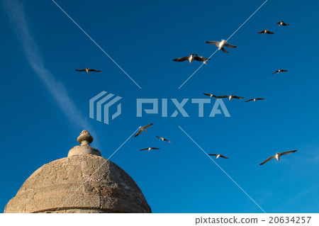 Detail of the city fortification, Morocco Detail of the city fortification, Morocco 20634257