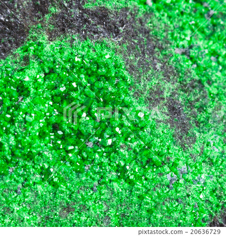 druse of green uvarovite crystals on rock close up 20636729