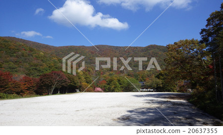 Ira Taniyama,牛hikiyama的秋葉 Ira Taniyama,牛hikiyama的秋葉 20637355