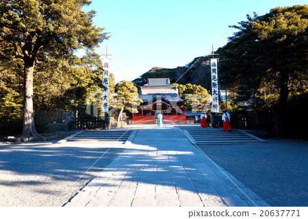 Early morning view of Tsuruoka Hachimangu Shrine 20637771