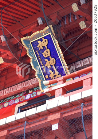 神田肌球蛋白 20637928