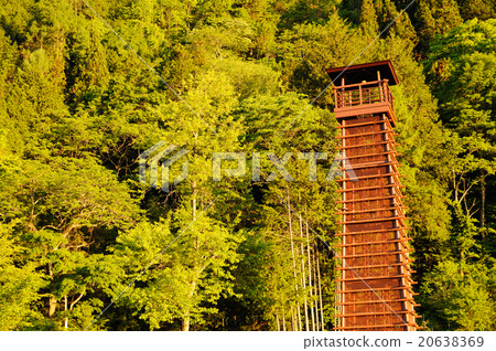 Tower Tower 20638369