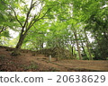 Takayama Castle Ruins (Takayama City, Gifu Prefecture) 20638629