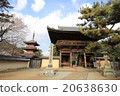 Tsuruji Temple Niobon (Hyogo prefecture Kakogawa city) 20638630