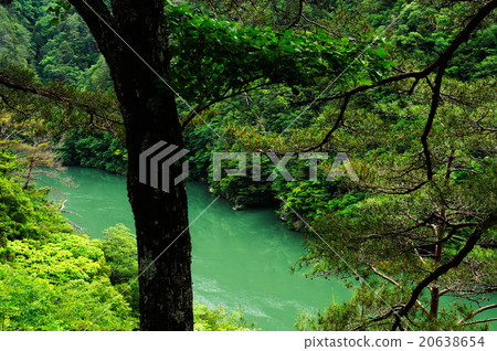 Tenryu River Tenryu River 20638654