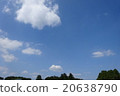 藍天和白色雲彩和樹 20638790