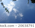 藍天和白色雲彩和分支 20638791