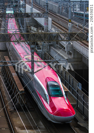 JR東E6系列東北新幹線超級小町 20639851