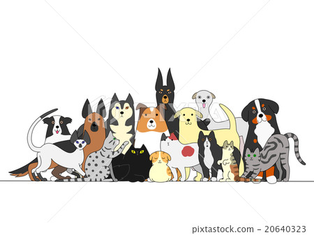 狗和貓組 狗和貓組 20640323