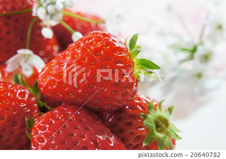 Strawberry and white flowers 20640782
