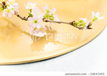 Sakura gold background Sakura gold background 20641493