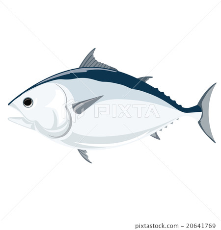 金槍魚圖 20641769