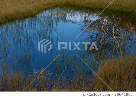 Watasuge在Tsugaike自然公園停泊 20641963