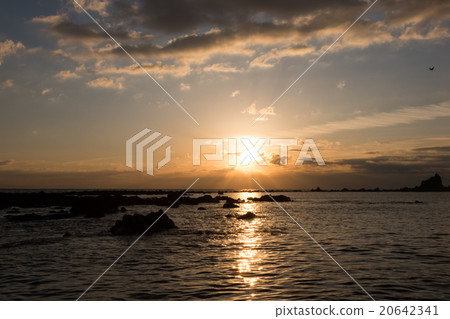 朝陽 朝陽 20642341