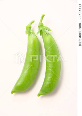 豌豆 豌豆 20643343