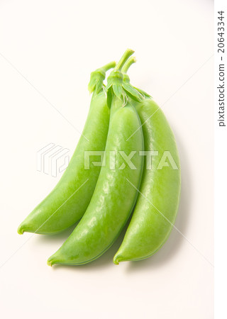 豌豆 豌豆 20643344