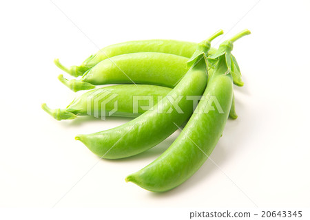 豌豆 豌豆 20643345