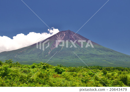 富士山在夏天 20643479