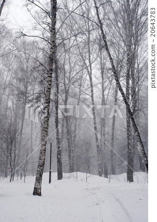 Path covered with snow 20643783