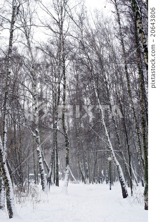 Path covered with snow vertical position Path covered with snow vertical position 20643806