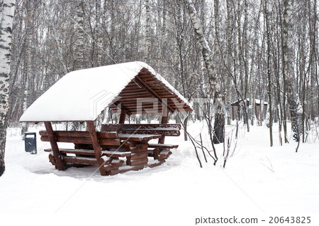 Arbor covered with snow horizontal Arbor covered with snow horizontal 20643825