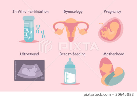 pregnancy process concept 20643888