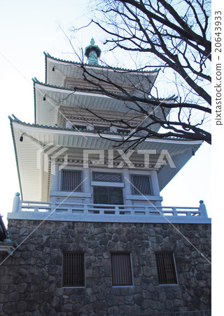 Tokyo Metropolitan Memorial Hall Tokyo Metropolitan Memorial Hall 20643933