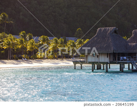 island with palm trees and small houses on water i island with palm trees and small houses on water i 20645199