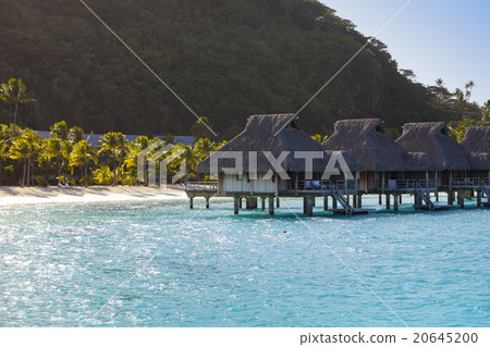 Typical Polynesian landscape - island with palm tr Typical Polynesian landscape - island with palm tr 20645200