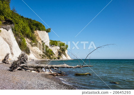 Chalk cliff Chalk cliff 20645293