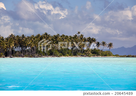 The island with palm trees in the ocean.. 20645489
