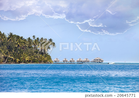 Polynesian landscape - seacoast with palm trees an 20645771
