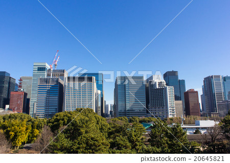Ninomaru woods and Marunouchi Buildings from the East Gardens of the Imperial Palace 20645821
